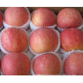 New Crop Fesh Apple Fresh FUJI Apple From China High Quality Whoesale Price